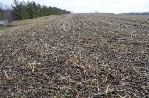 Property photo 11 - 98+/- Acres Offered in 6 Tracts or Combinations, Noble County, Indiana Farm